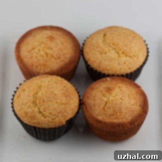 Corn Muffins