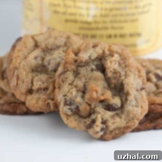 Rye Flour Chocolate Chip Cookies