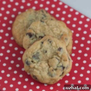 Deluxe Chocolate Chip Pudding Cookies - perfect for sharing