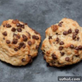 Vegan Chocolate Chip Scones