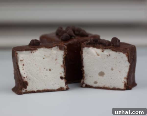 Butter's Famous Marshmallows, a truly great homemade marshmallow recipe, perfect for any occasion.