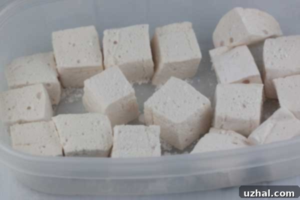 Butter's Famous Marshmallows, an excellent homemade marshmallow recipe without eggs for a firmer, longer-lasting treat.
