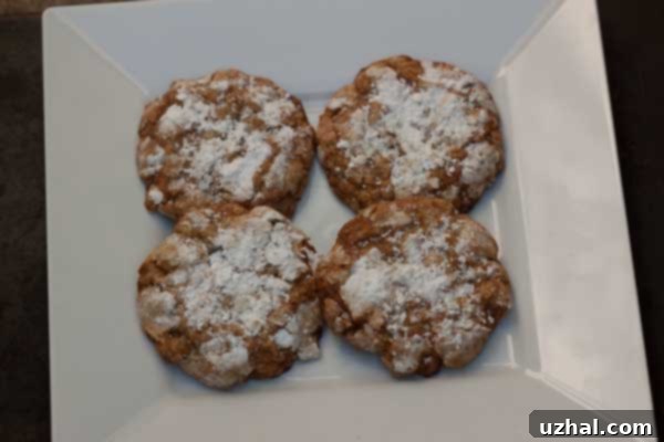 milk bar life oatmeal cookies, crispy chewy oatmeal cookies