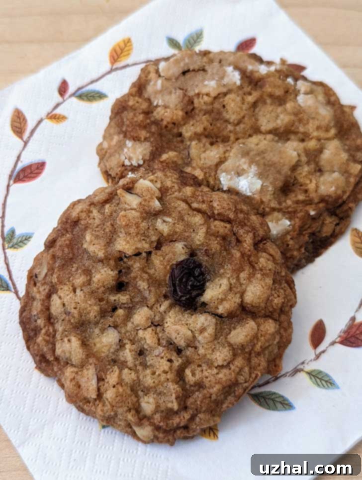 milk bar life cookies, oatmeal cookies with powdered sugar