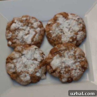 grandma's oatmeal cookies