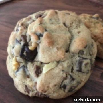 Giant Whole Wheat Chocolate Chip Cookiess with walnuts and chocolate chips visible
