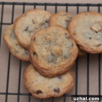 Mayonnaise Cookies