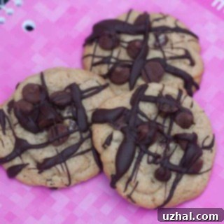 caramel delightfulls - A close-up of delicious cookies.