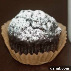 Chocolate Breakfast Muffins