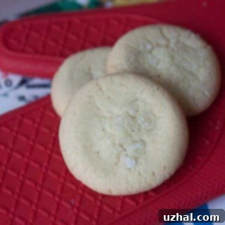 crisp sugar cookie