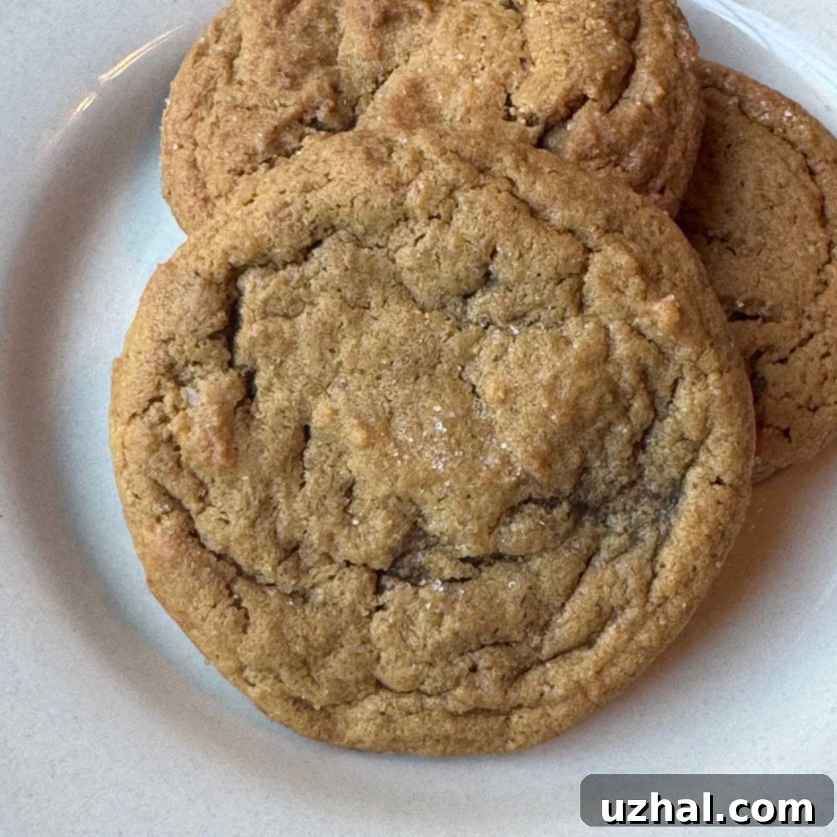Crinkly Molasses Ginger Syrup Cookies, perfectly spiced with a beautiful crackle on top.