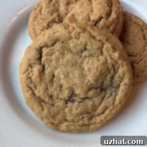 Molasses Ginger Syrup Cookies recipe