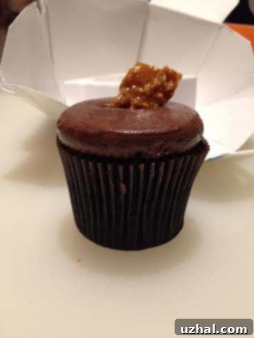 morecupcakechocolatehazelnut
