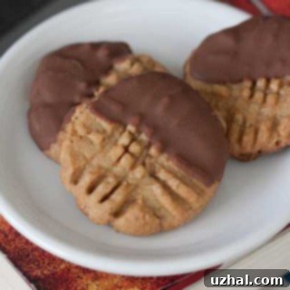 dipped peanut butter cookies