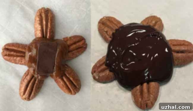 Homemade chocolate turtles with pecans and luscious caramel, drizzled with chocolate.