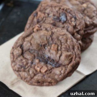 A plate of freshly baked jumbo double chocolate cookies