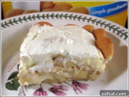 Decadent Vanilla Bean Banana Pudding served in a glass dish, showcasing layers of creamy pudding, sliced bananas, and Nilla wafers, topped with a generous swirl of whipped cream.
