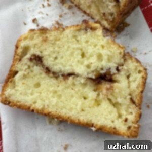Chicago Food Swap Sour Cream Coffee Cake recipe baked in 8x4 inch loaf pans