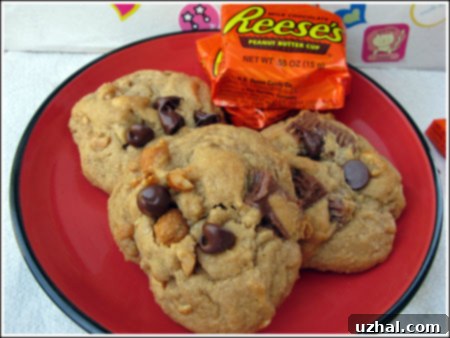 Delicious Peanut Butter Chocolate Chip Cookies