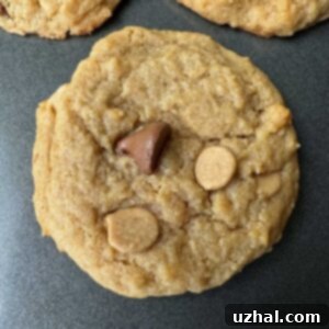 Judy's Peanut Butter Chocolate Chip Cookies recipe.