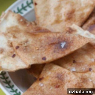 baked tortilla chips