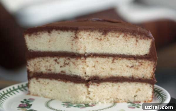 A three-layer Classic Yellow Cake from Grandbaby Cakes cookbook, topped with chocolate frosting