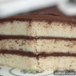 A slice of Grandbaby Cakes Classic Yellow Cake with chocolate frosting