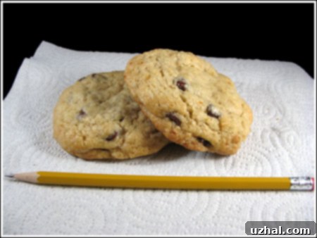 chocolate chip cookies