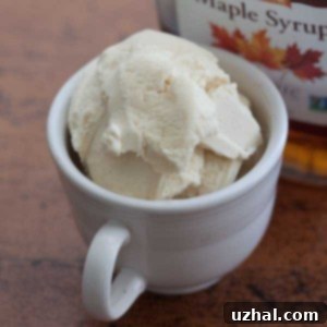 Homemade Maple Ice Cream in a bowl