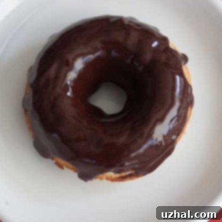 Baked Cake Doughnuts