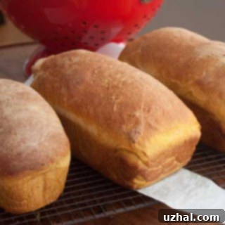 pumpkin yeast bread