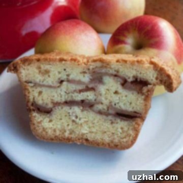 baked apple coffee cake in a loaf pan
