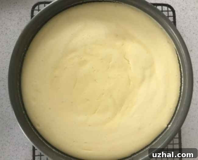 fluffy cheesecake ready to serve