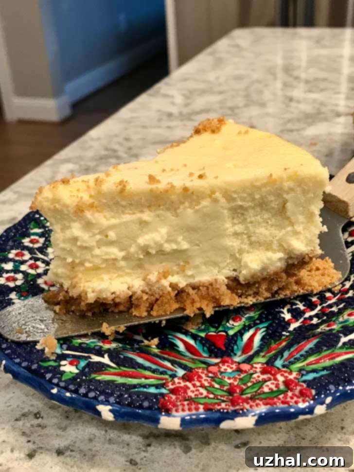 Fluffy Cheesecake with a perfect slice cut