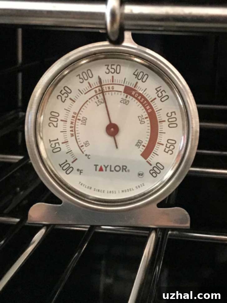 An oven thermometer inside an oven