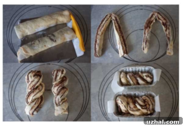 Collage showing the steps of twisting chocolate babka dough: rolled log, split logs, twisted logs, and logs in loaf pans