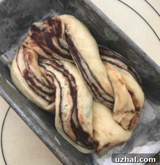 Two chocolate babka twists placed side by side in a larger loaf pan, ready for baking