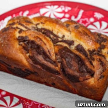 Baked Chocolate Babka loaf