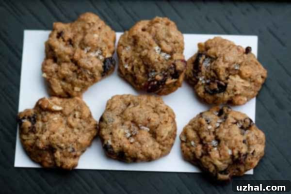 Small, quarter-sized mini Oatmeal Cranberry Crunch Cookies on an index card, demonstrating their petite size, ideal for holiday gifting or party snacks.
