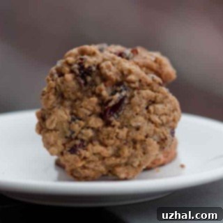A close-up of a freshly baked Oatmeal Cranberry Crunch Cookie, showing its golden-brown exterior, chewy texture, and generous fillings of cranberries and pecans.