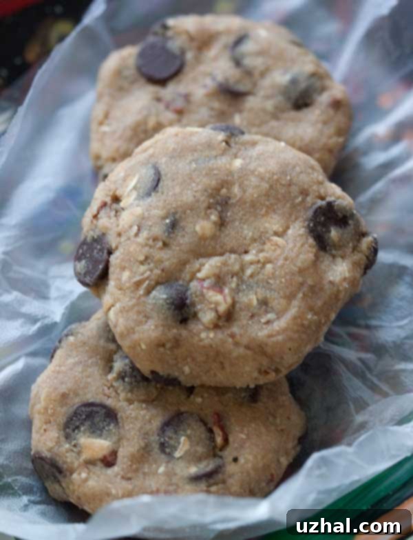 raw wheat germ chocolate chip cookie dough rounds on parchment paper