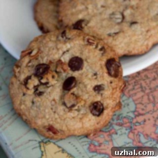 finished jumbo wheat germ chocolate chip cookies on a cooling rack
