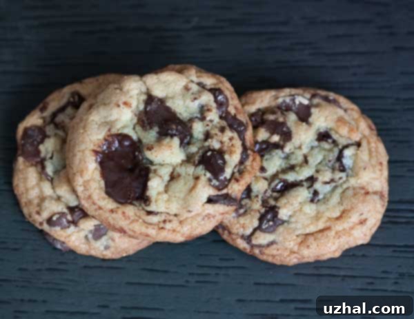 Comparison of two chocolate chunk cookies, one with Valrhona (more spread) and one with Chocolove (less spread).