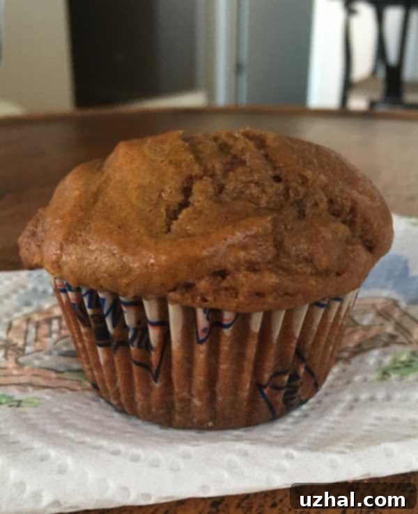 Close-up of fluffy Gingerbread Muffins with high tops, perfect for breakfast