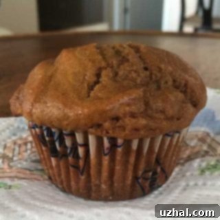 Baked Jumbo Gingerbread Muffins
