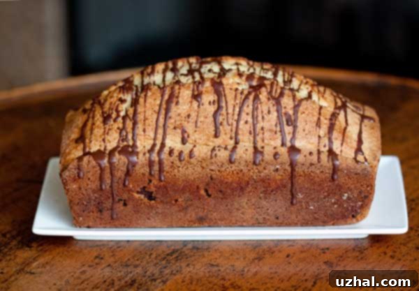 A beautifully golden-brown mini chocolate chip cream cake, baked to perfection in a loaf pan, showing its impressive rise.