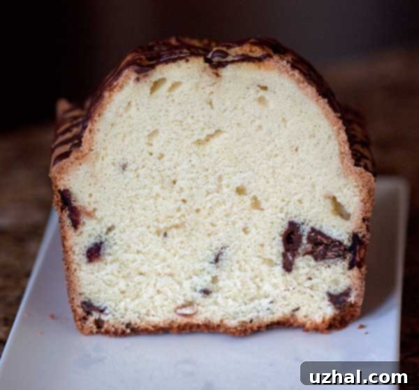A close-up view of the interior of a slice of cream cake, showcasing its tight, fine crumb and the distribution of chocolate.