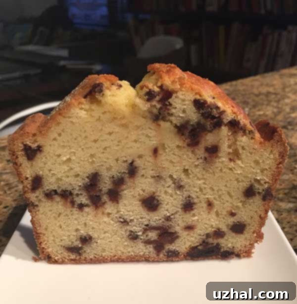 A slice of the cream cake, with mini chocolate chips visible throughout, demonstrating even distribution.