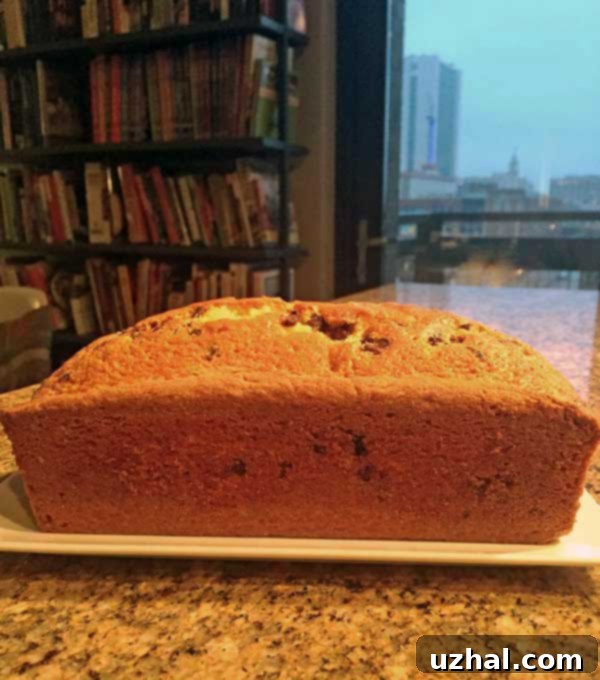 A freshly baked cream cake, cooled and ready to be sliced, showcasing its perfect golden-brown crust.