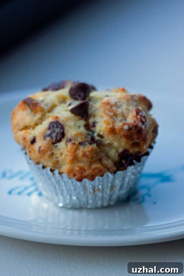 Stacked Ricotta Rum Chocolate Chip Muffins